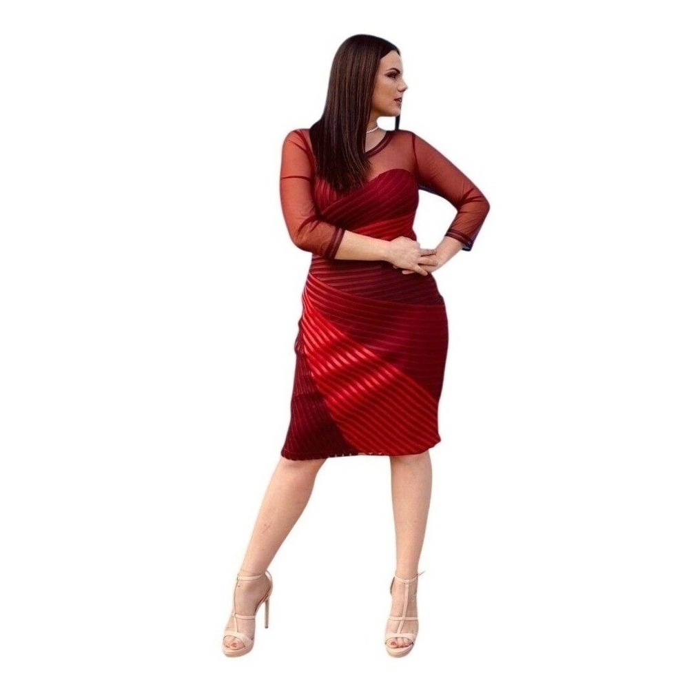 Clips Red Mesh Panel Striped Bodycon Midi Dress 46 / US 10